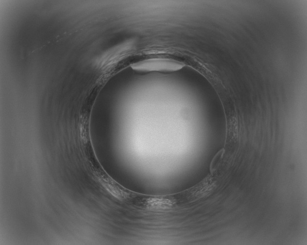 X0000054460234200507291356