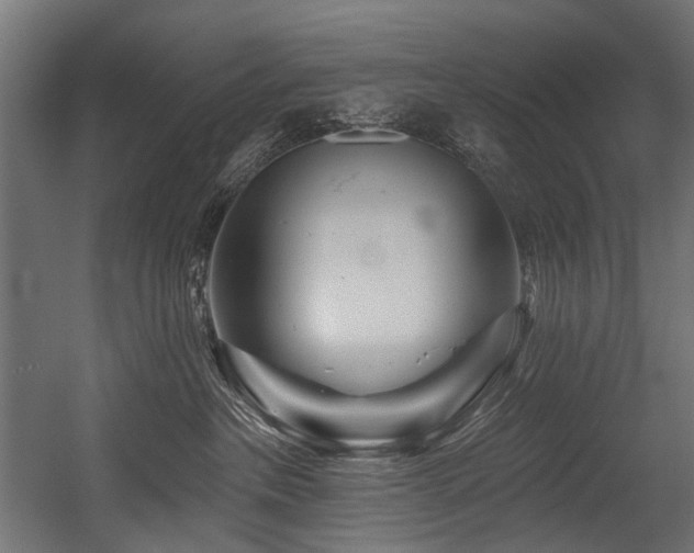 X0000054460237200507291356