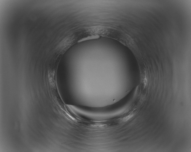 X0000054460239200507291356