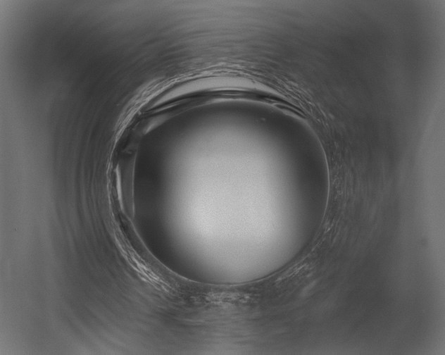 X0000054460242200507291355