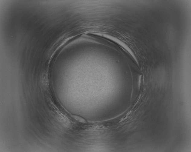 X0000054460243200507291355