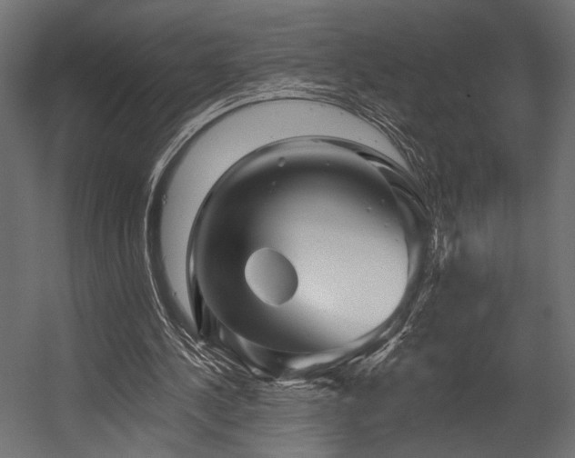 X0000054460244200507291355