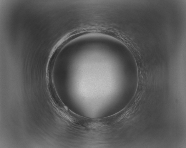 X0000054460246200507291356