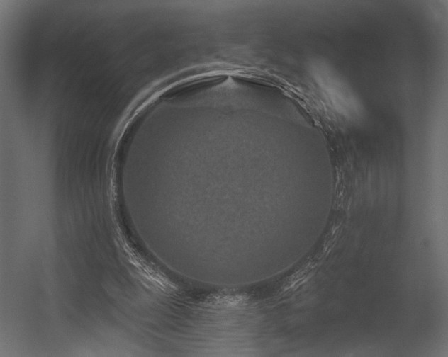 X0000054460247200507291356