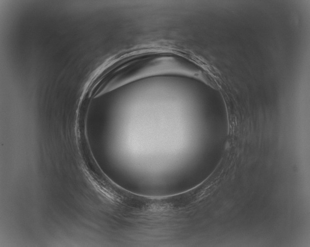 X0000054460248200507291356