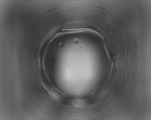 X0000054460254200507291356