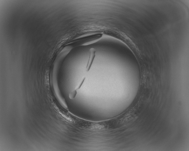 X0000054460257200507291356