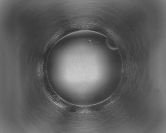 X0000054460258200507291356