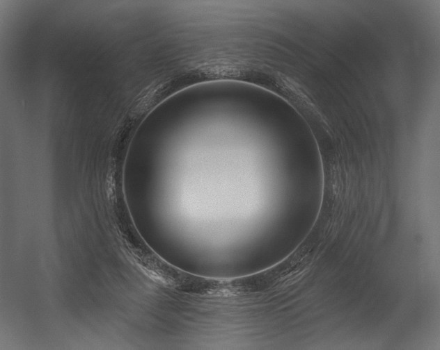 X0000054460259200507291356