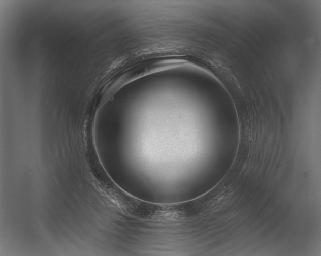 X0000054460260200507291356