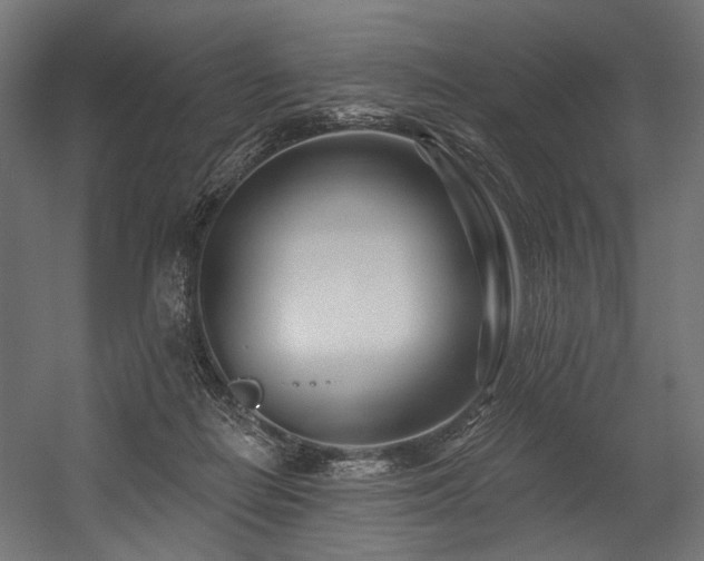 X0000054460266200507291356