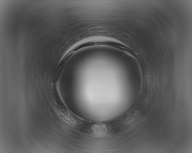 X0000054460271200507291356