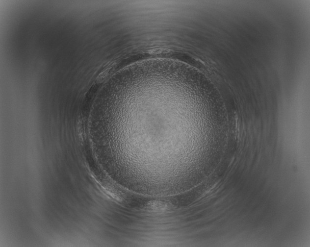 X0000054460272200507291356