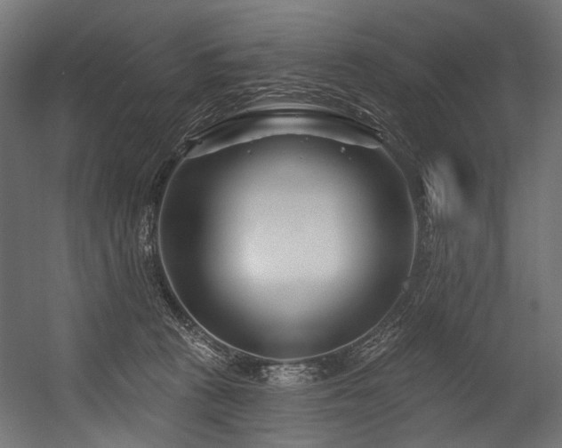 X0000054460273200507291356