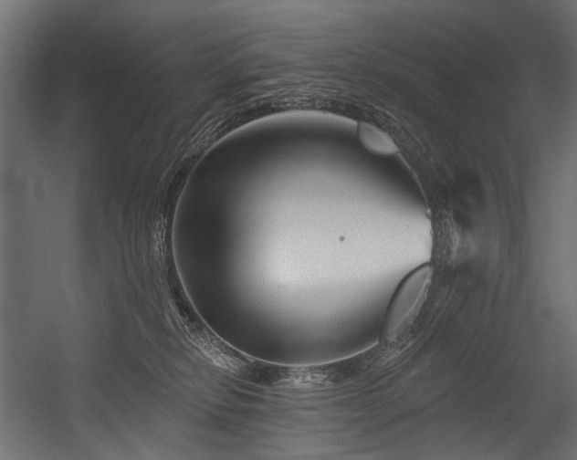 X0000054460278200507291356