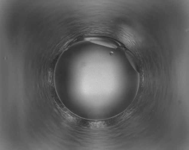 X0000054460281200507291356