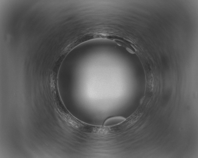 X0000054460282200507291356