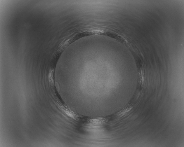 X0000054460286200507291356