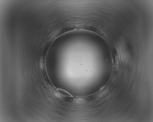 X0000054460287200507291356