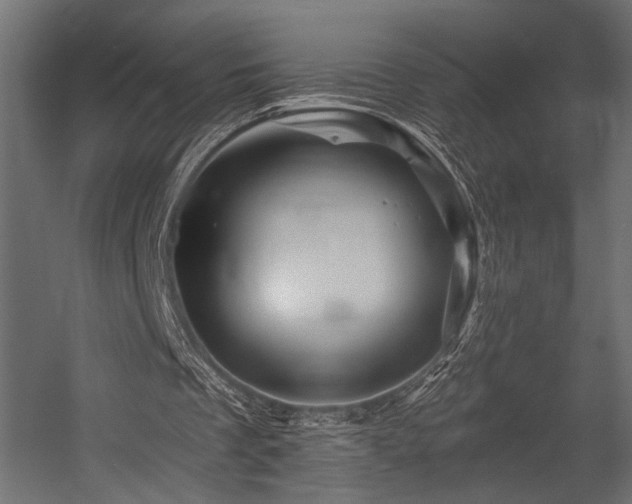 X0000054460289200507291355