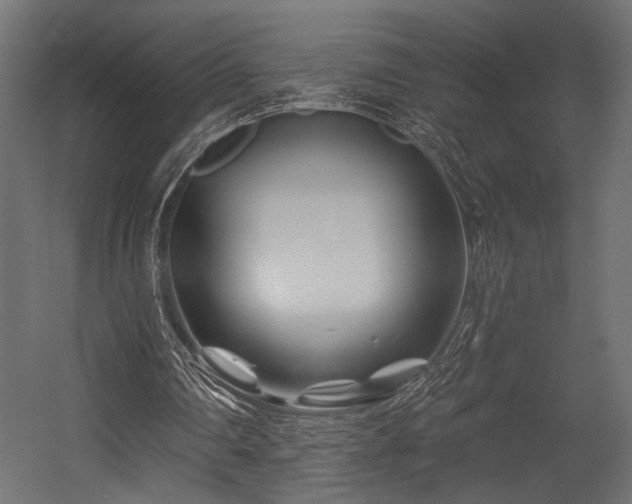 X0000054460290200507291355