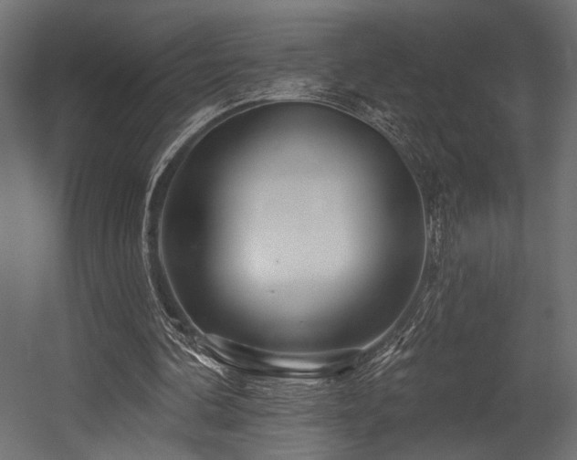 X0000054460292200507291355