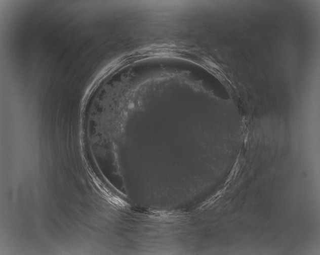 X0000054460293200507291355