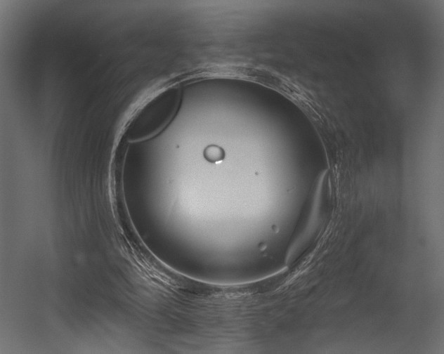 X0000054460294200507291355