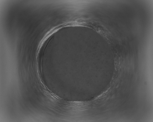 X0000054460295200507291355