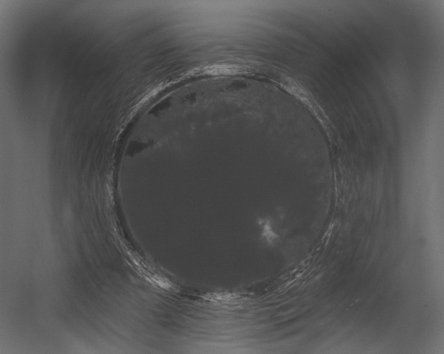 X0000054460297200507291355