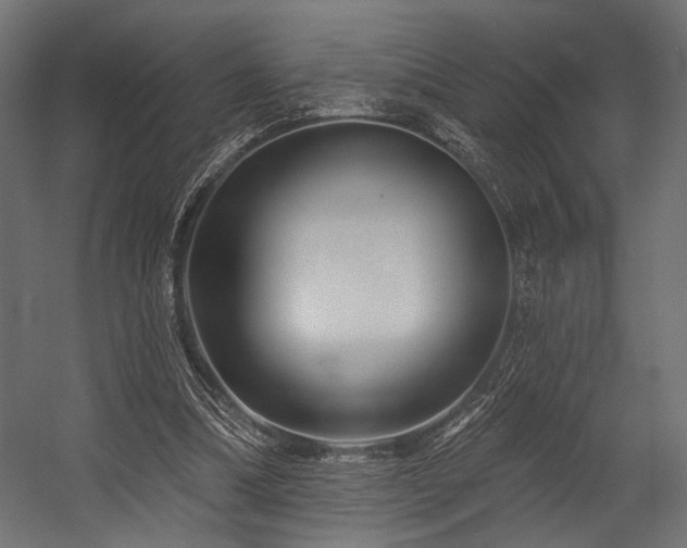 X0000054460298200507291355