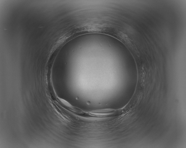 X0000054460299200507291355