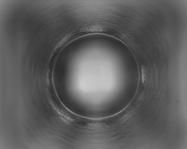 X0000054460300200507291355