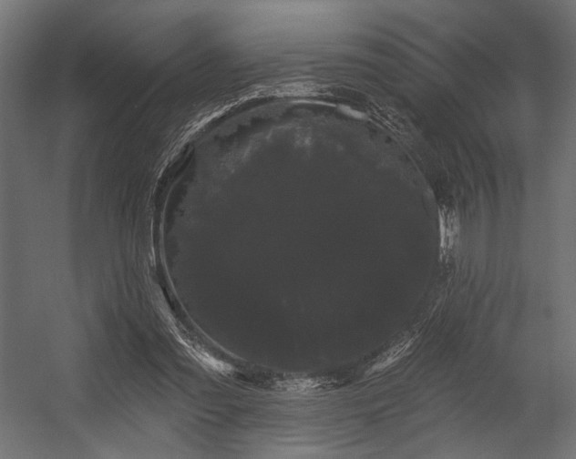 X0000054460301200507291355