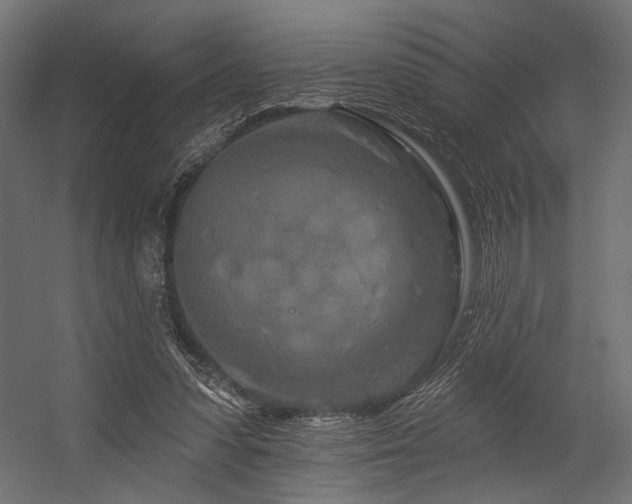 X0000054460303200507291355