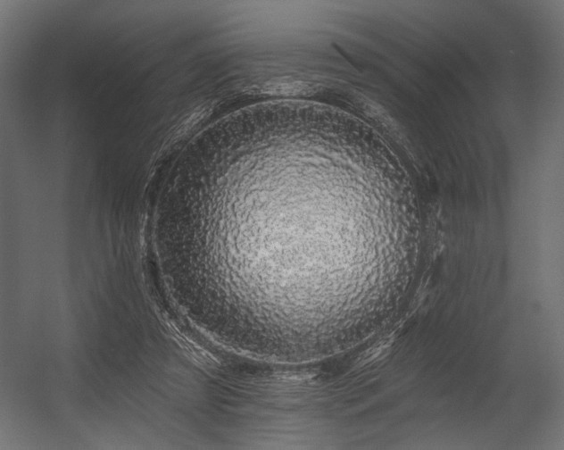 X0000054460305200507291355