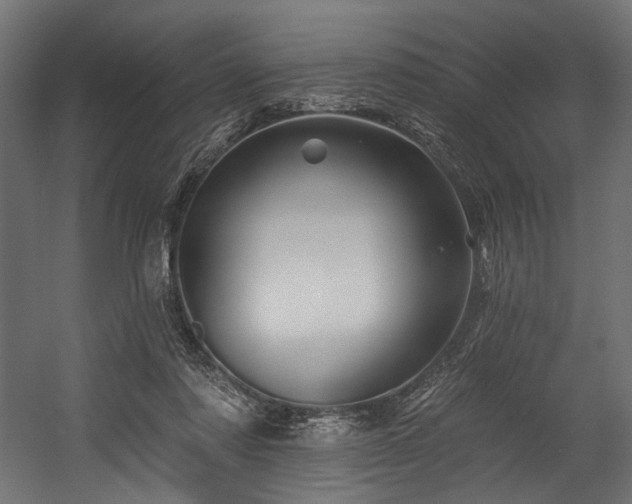 X0000054460310200507291355