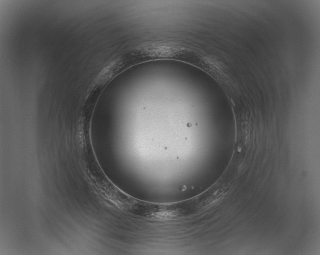 X0000054460312200507291355