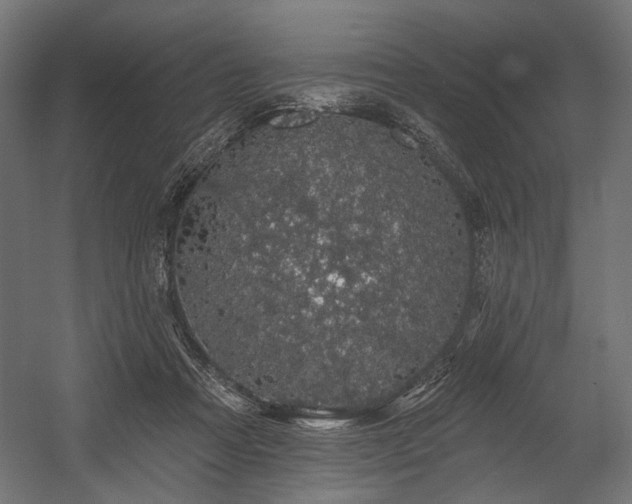 X0000054460313200507291355