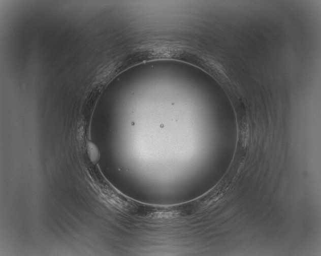 X0000054460314200507291355