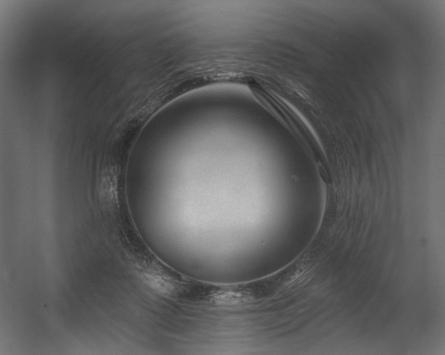 X0000054460315200507291355