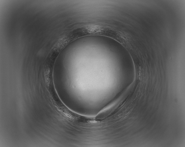 X0000054460319200507291355