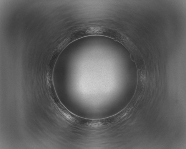 X0000054460322200507291355