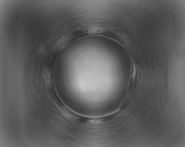 X0000054460327200507291355