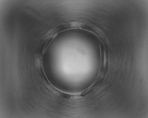 X0000054460329200507291355