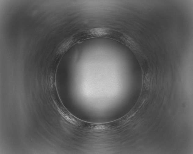 X0000054460330200507291355