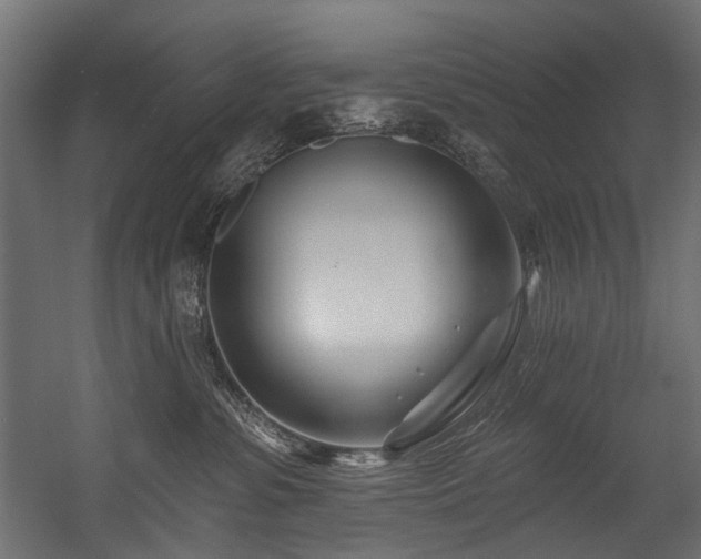 X0000054460331200507291355