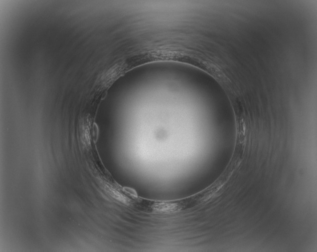 X0000054460334200507291355