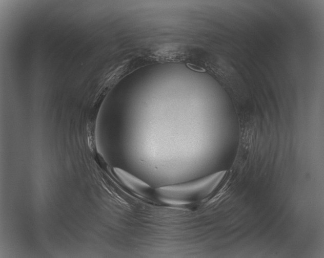 X0000054460335200507291355