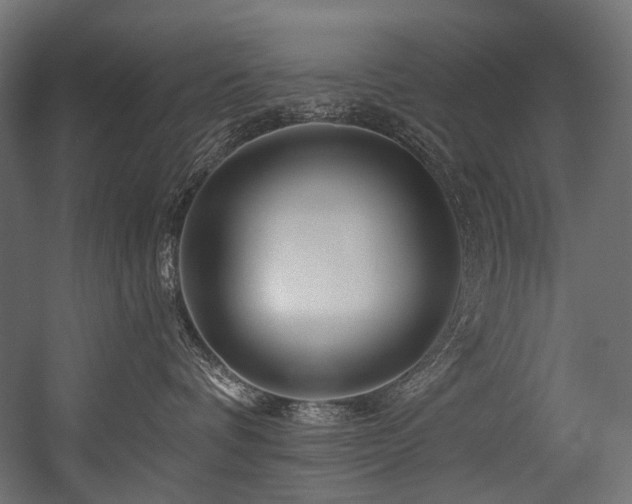 X0000054460336200507291355